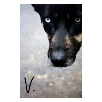 V.